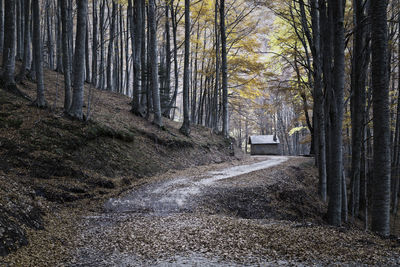 The small house in the monti della laga woods