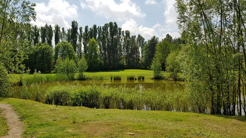 Scenic view of lake against sky