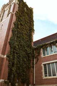 Low angle view of building against sky