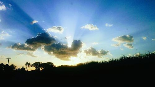 Silhouette trees against sky during sunset