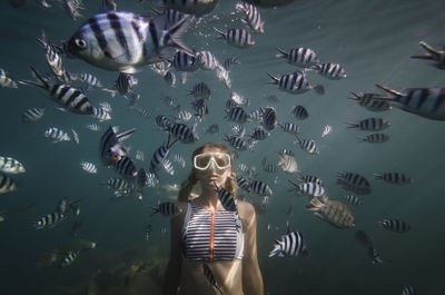 Woman swimming by fish underwater