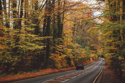 Road amidst trees in forest during autumn