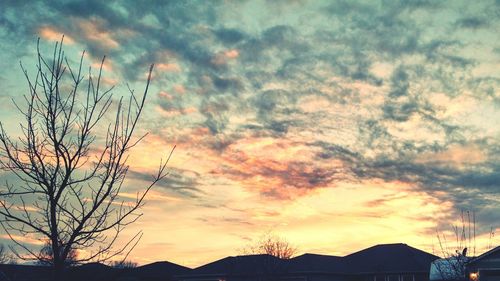 Low angle view of silhouette trees against dramatic sky