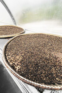 High angle view of coffee beans in glass