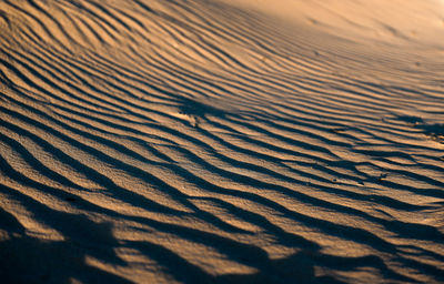 Full frame shot of sand dune in desert during sunny day