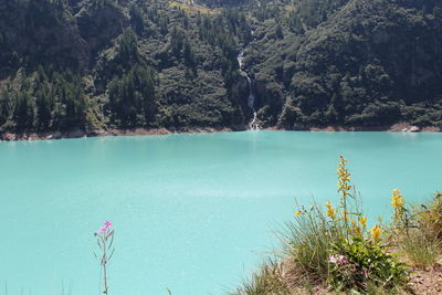 Scenic view of lake by trees against sky