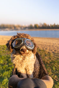 Dog with goggles in bicycle transport basket