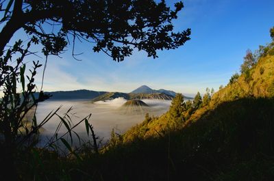 Scenic view of lake and trees against sky