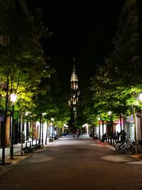 View of illuminated trees at night