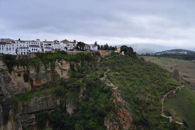 Panorama of andalusian landscape with olive trees and fields seen from ronda, spain