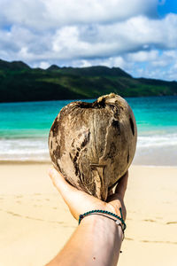 Cropped hand holding dry coconut at beach against sky