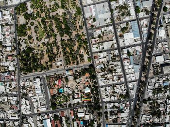 High angle view of tree by building in city