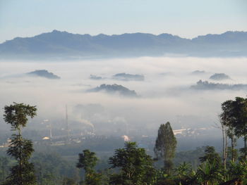 Scenic view of trees and mountains against sky