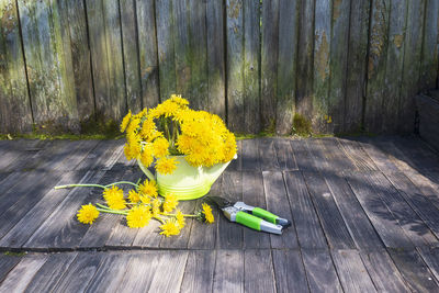 High angle view of yellow flowering plants on wood