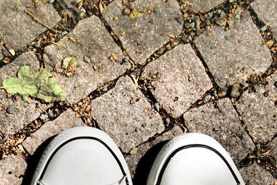 Low section of person standing on floor