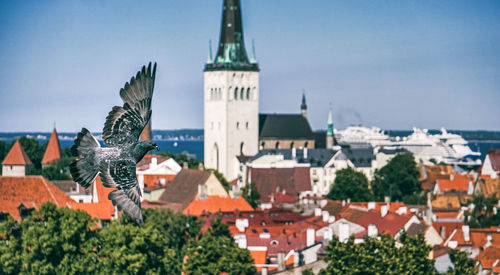 Panoramic view of buildings in city