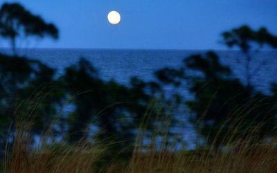 Close-up of moon over sea against sky
