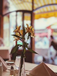 Close-up of flower vase on table at home