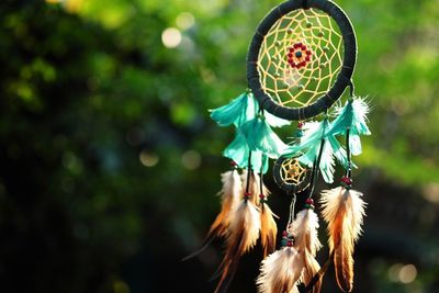 Close-up of feather hanging outdoors