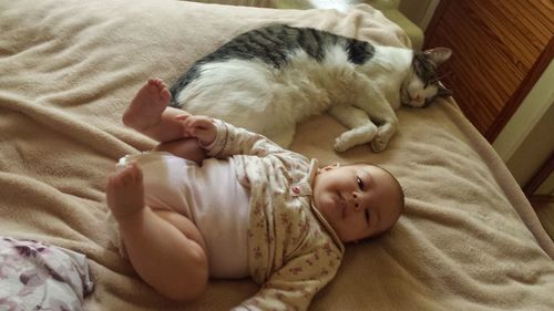 High angle view portrait of cute baby by cat sleeping on bed at home