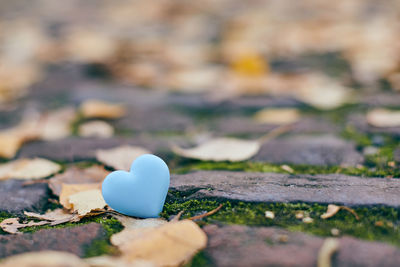 Close-up of heart shape on wood