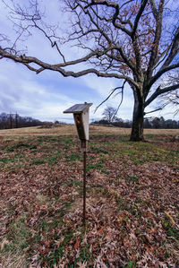 Bare tree on field against sky