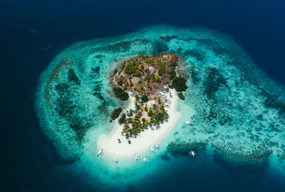 Aerial view of coral in sea