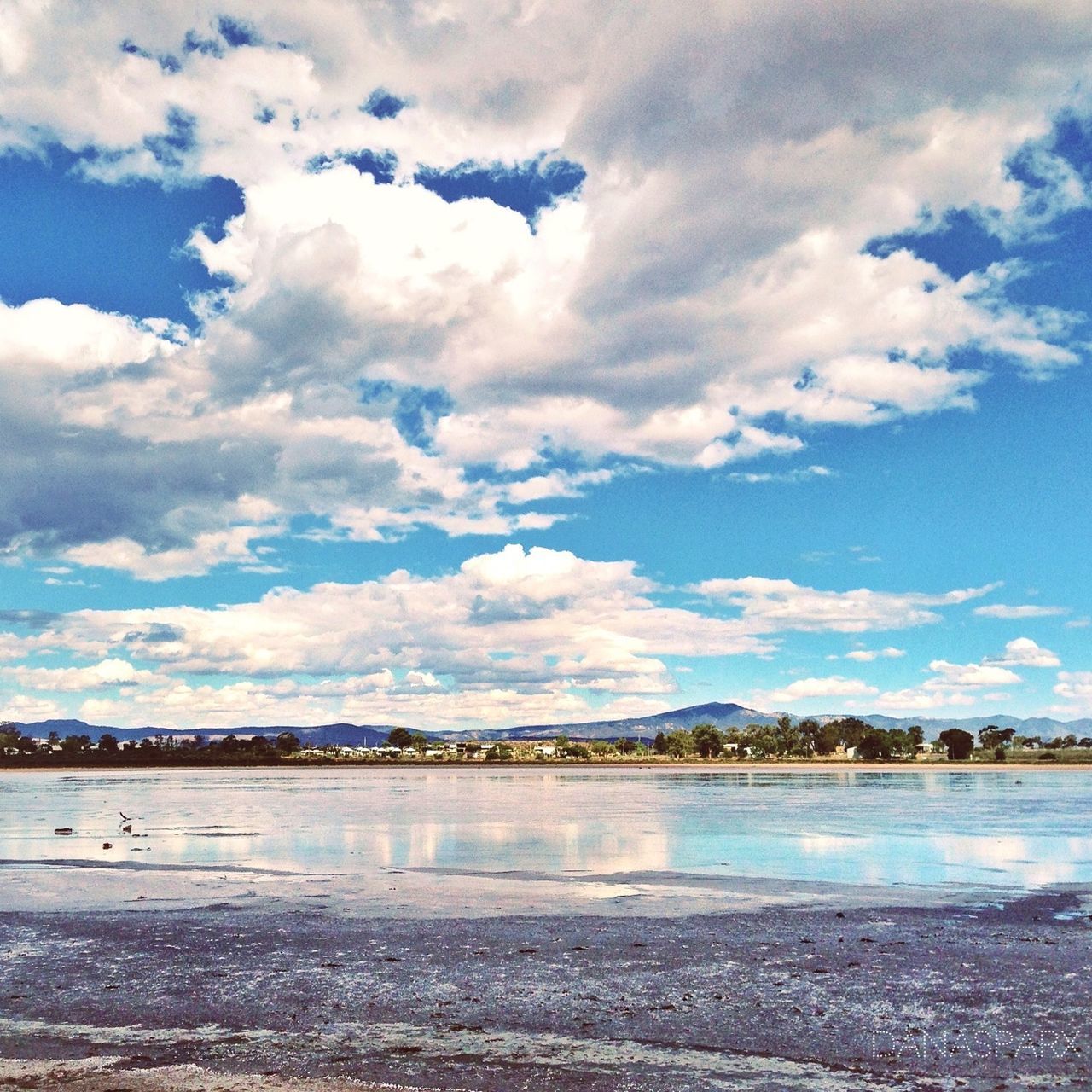 sky, water, cloud - sky, beach, sea, tranquil scene, tranquility, scenics, cloudy, shore, cloud, beauty in nature, nature, sand, blue, day, bird, outdoors, idyllic, incidental people