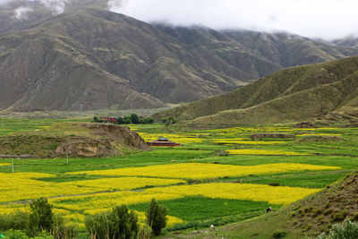 Inside the chongye valley or valley of the kings, where the ancient kings of tibet are buried.