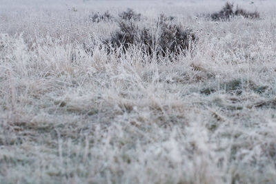 Scenic view of land during winter