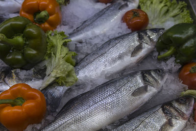 High angle view of fish