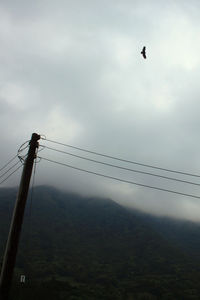 Low angle view of birds flying in sky