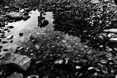 Close-up of pebbles on water