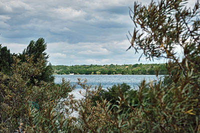 Scenic view of river against sky