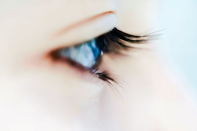 Close-up of human eye