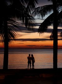 Silhouette of palm trees at sunset