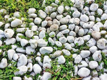 Full frame shot of pebbles