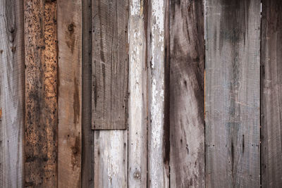 Full frame shot of wooden door