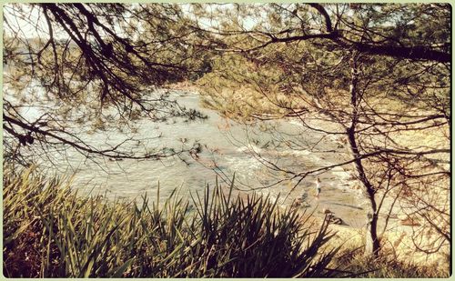 Scenic view of lake against bare trees