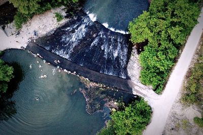 High angle view of river amidst trees