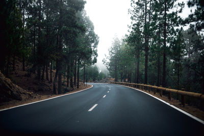 Empty road along trees in forest