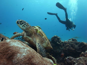 People swimming in sea