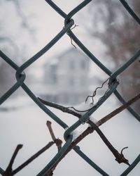 Close-up of barbed wire against chainlink fence