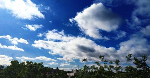 Low angle view of trees against sky