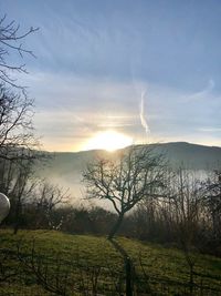Scenic view of field against sky during sunset