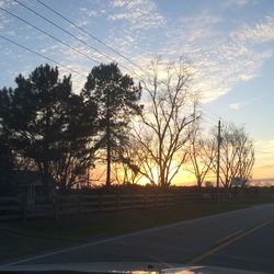 Bare trees on landscape at sunset