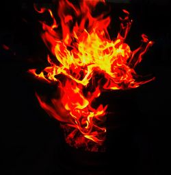 Close-up of bonfire at night