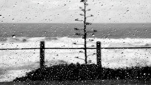 Close-up of water drops on glass