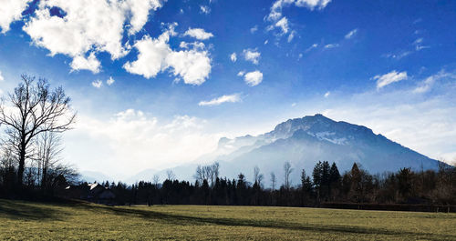 Scenic view of field against sky