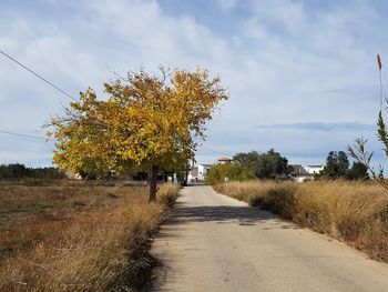 Road amidst trees against sky during autumn